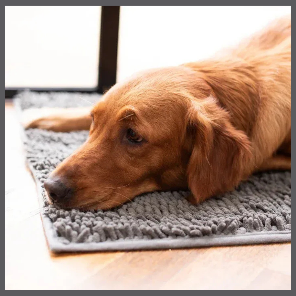 PawClean™ – Absorbent Anti-Trace Mat