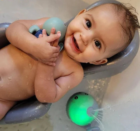 Willi -The Awakening Whale