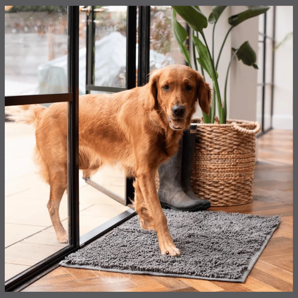 PawClean™ – Absorbent Anti-Trace Mat