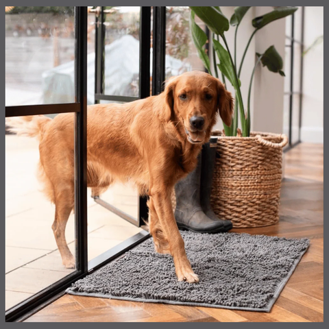 PawClean™ – Absorbent Anti-Trace Mat