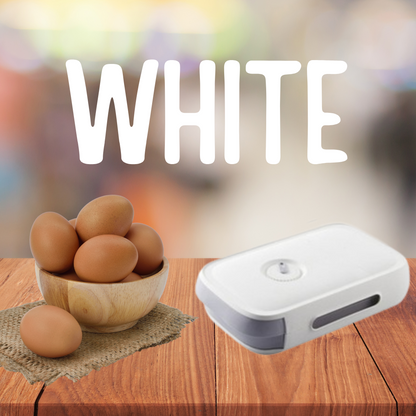 Egg storage box